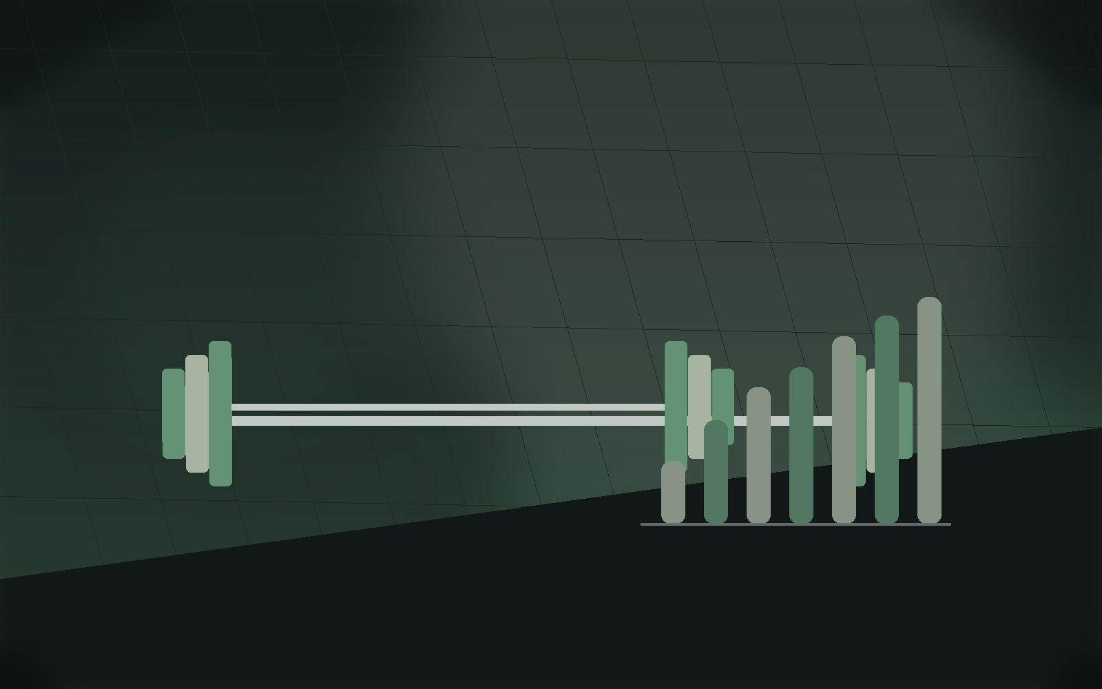 Strength insight scene with a barbell and load bars.